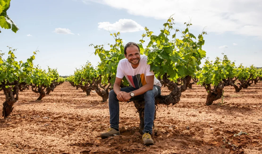 Winzer Juan Antonio Ponce in seinen Reben
