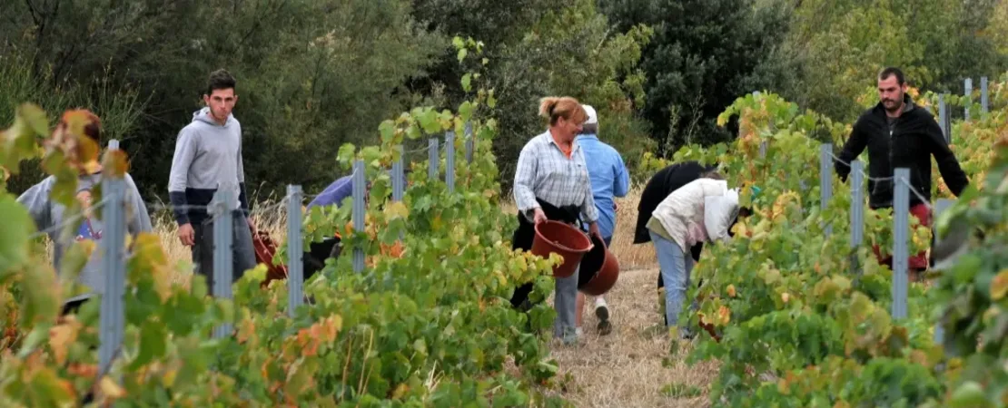Domaine Ancely Bernard