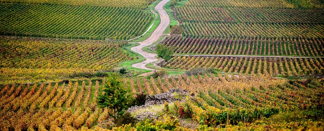 Domaine François de Givry