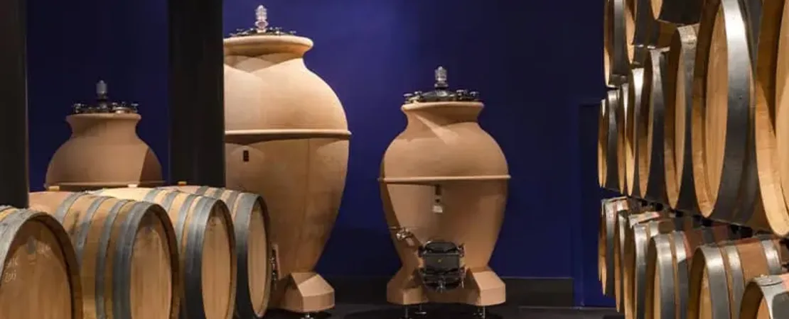 Podere Giodo - Az. Agr. Ferrini Bianca