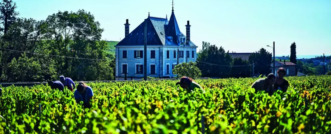 Château Grange Cochard