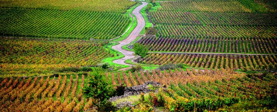 Domaine de la Janasse