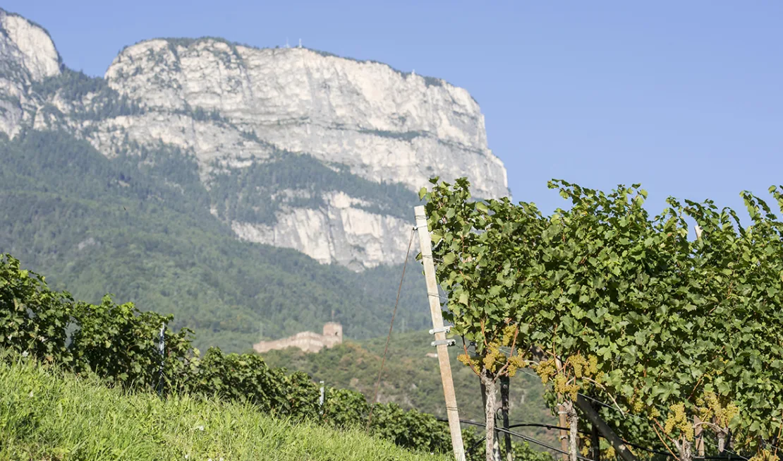 Die Berglagen in Sankt Pauls mit Blick auf den Gantkofel