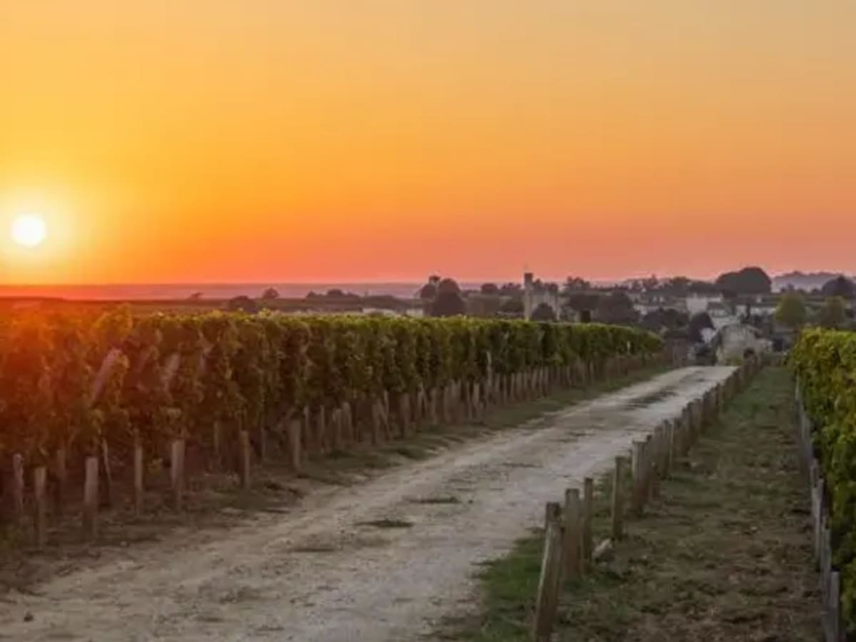 Bordeaux Jahrgänge ab 1982