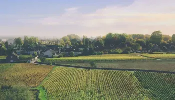 Burgund Jahrgänge ab 2005.