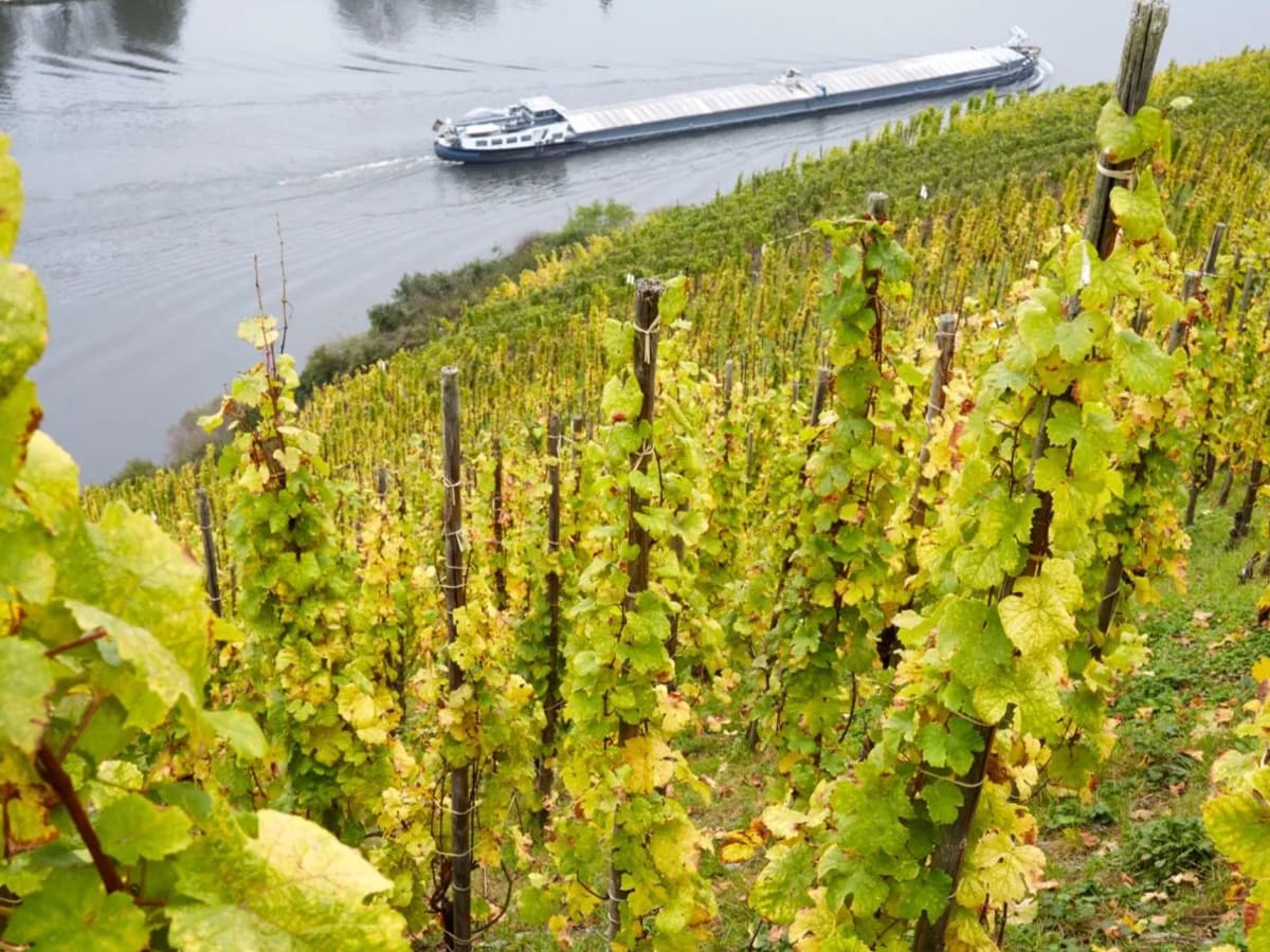 Deutschland Jahrgänge ab 2005.