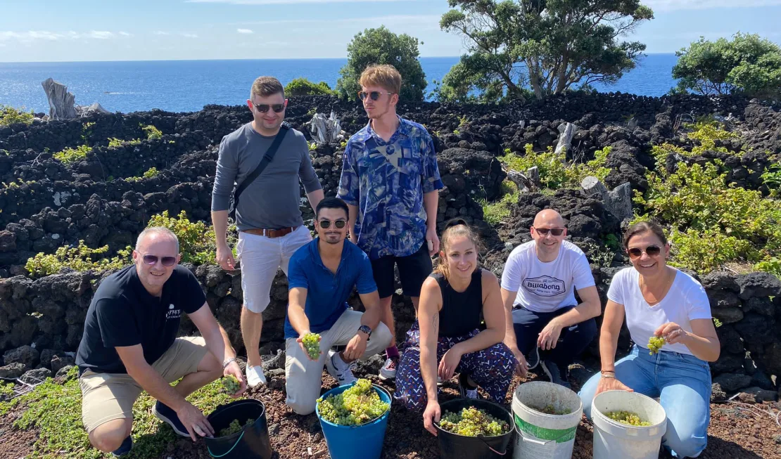 Wir durften selber mit anpacken und können bestätigen: Die Ernte ist hier enormer Aufwand.