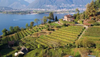 Wein- und Genussreise «Tessin»