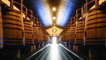 Degustation «Bordeaux 2023» in Zürich