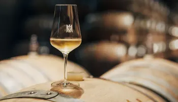 Degustation «Deutsche Weine & Riesling 2025» in Zürich