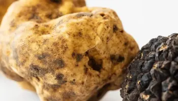 Lunch: Sonntag voller Trüffel im «à table - das eventlokal» im Weingut Gantenbein