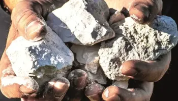 Chardonnay: die Terroir-Botschafterin.