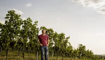 Rotwein des Jahres 2026: «MACHSIMUM» von Paul Achs.