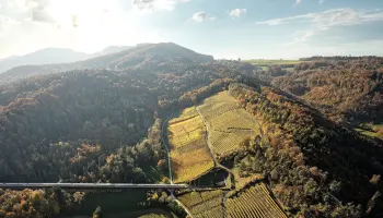 Weinpassion für die Schweiz.