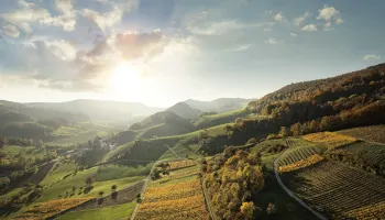 Degustation «Aargauer Weinmomente» in Spreitenbach