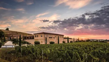 Monteverro: Subskription Jahrgang 2024.