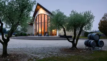 Weisswein des Jahres 2026: MATTEO Chardonnay vom Weingut Dorigo.