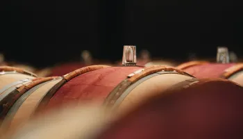 Bordeaux Arrivage 2023