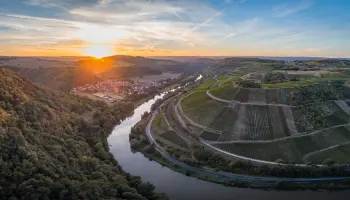 Wine&Dine mit Anne Dönnhoff (Weingut Dönnhoff) in Wallisellen