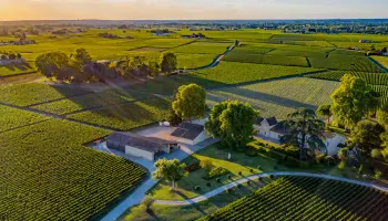 Bordeaux 2025 Subskription