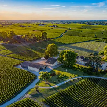 Bordeaux 2025 Subskription