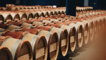 Degustation «Bordeaux 2023» in Sempach