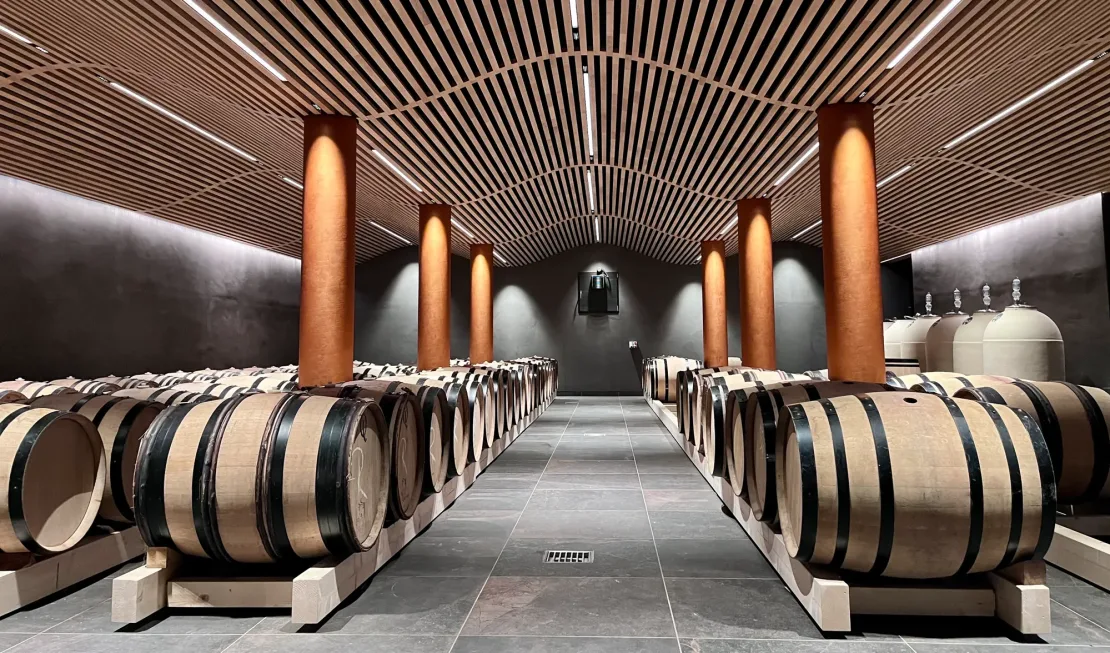 Weinkeller vom Weingut Möhr-Niggli