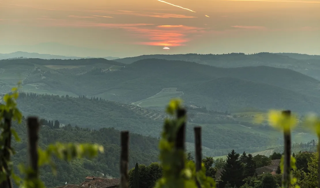 Aussicht von Castello Lamole