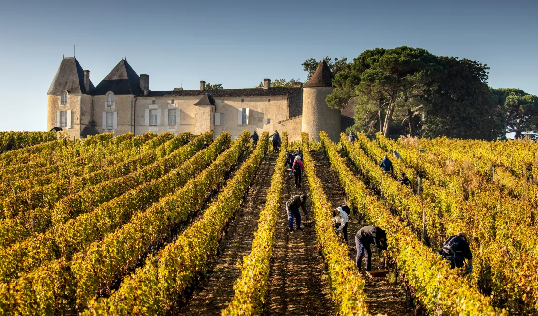 Château d'Yquem (Sauternais, Sauternes)