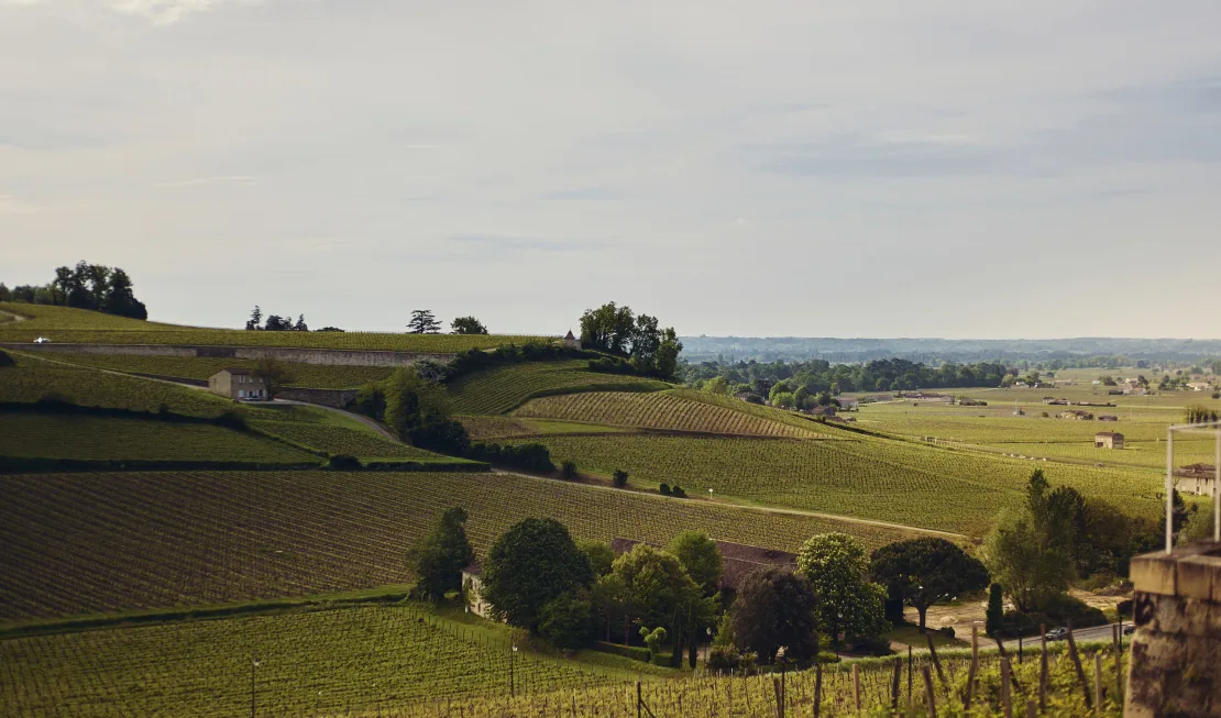 Ausblick vom Château Ausone (Libournais, St. Émilion)