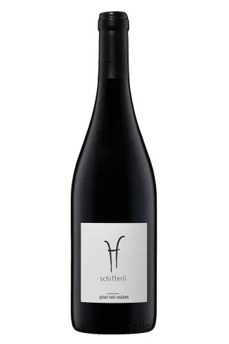 Rotwein, Pinot Noir Malans, 2022, Schifferli Wein