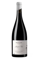 Rotwein, Magna Vides Tinto, 2023, Magna Vides