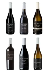 Maçanita - die Perle vom Douro
