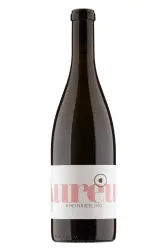 Weisswein, Aureus Rheinriesling, 2023, Weingut Klosterhof