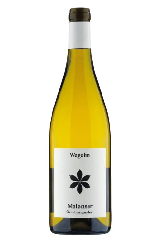 Weisswein, Malanser Grauburgunder, 2024, Weingut Wegelin