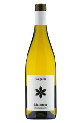 Weisswein, Malanser Grauburgunder, 2024, Weingut Wegelin