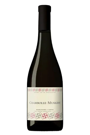 Rotwein, Chambolle-Musigny, 2020, Marchand Tawse