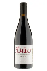 Rotwein, A Palheira Tinto, 2022, Antonio Madeira