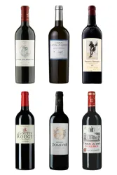 Bordeaux 2022 - Max Gerstl: der Beste Jahrgang aller Zeiten.
