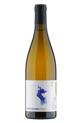 Weisswein, Colheita Branco, 2023, Antonio Madeira