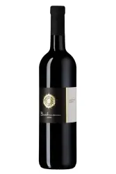 Rotwein, Cabernet Dorsa, 2022, Buchmann Weine