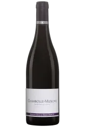 Rotwein, Chambolle-Musigny, 2019, Domaine Anne et Hervé Sigaut