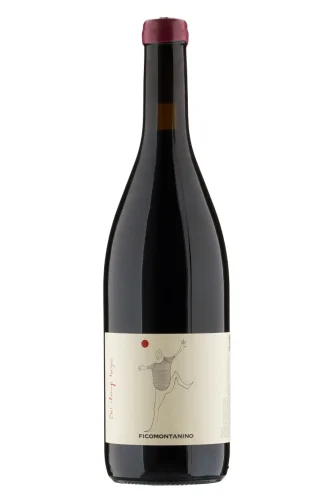 Rotwein, So long Boys, 2022, Ficomontanino
