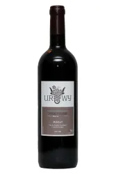 Rotwein, Pinot Noir Riserva, 2023, Ur Wy