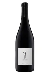 Rotwein, Pinot Noir Malans, 2023, Schifferli Wein