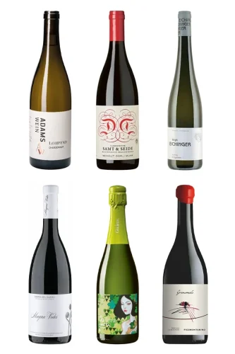 Frauenpower pur - 6 Winzerinnen, 6 geniale Weine