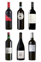 100% Merlot - ganz grosse Weine