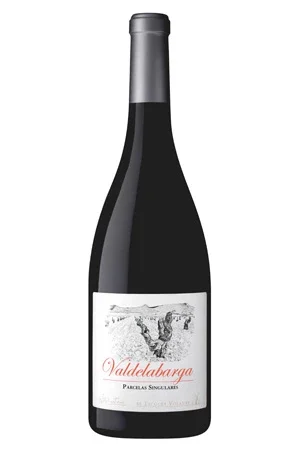 Rotwein, Valdelabarga, 2020, El Escoces Volante