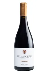Rotwein, Haragán Reserva Especial, 2019, Pago los Balancines
