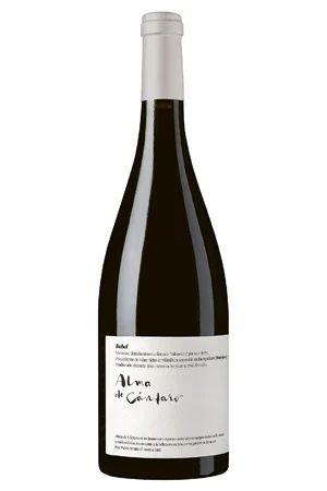 Rotwein, Alma de Cántaro Bobal, 2020, Magna Vides
